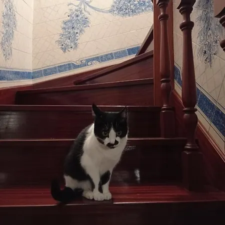 A Casa Da Ti Laura 2